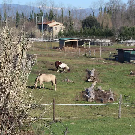 I Sei Filari By Interhome *
